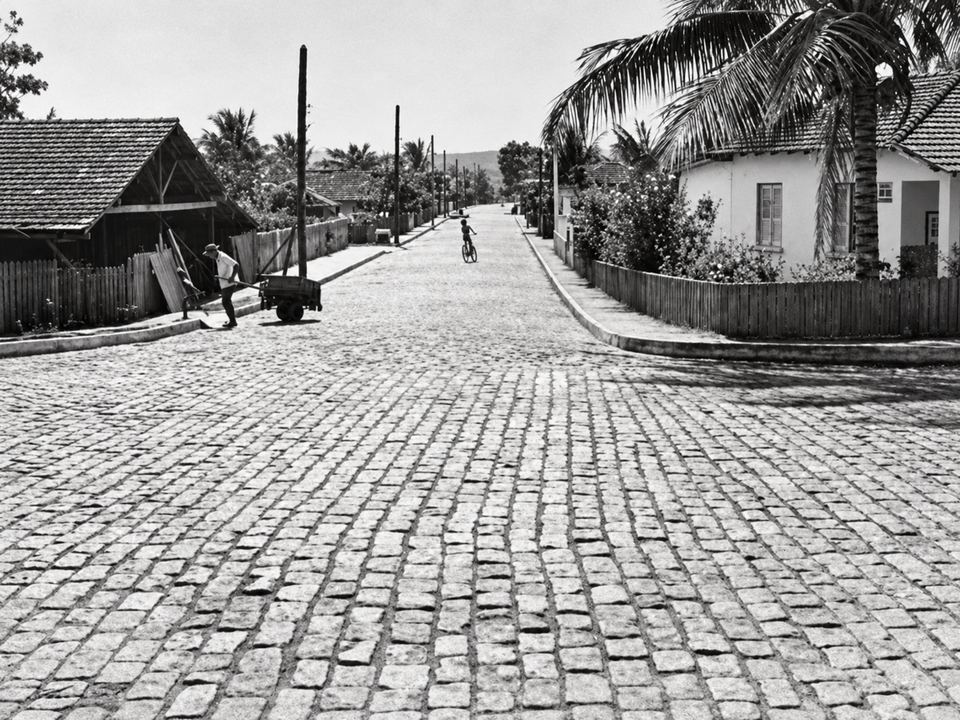 Foto em preto e branco de 1965: rua de paralelepípedos com casas, cercas de madeira, postes e palmeiras